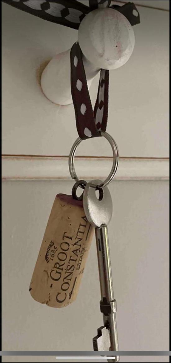 Guest Suite - Leafy Constantia Guest House 开普敦 外观 照片