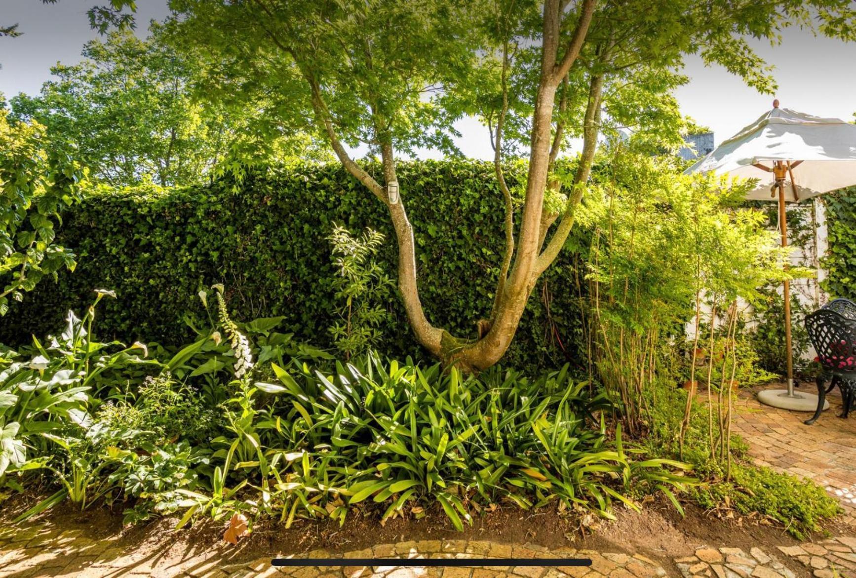 Guest Suite - Leafy Constantia Guest House 开普敦 外观 照片